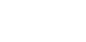 BAM Butler Auto Management Tampa FL