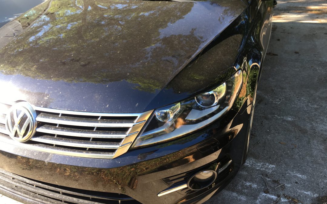 What Does Pollen Do to Your Car?